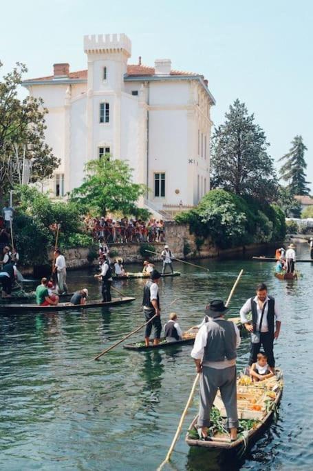 شقة Chez Franck Et Gisele LʼIsle-sur-la-Sorgue المظهر الخارجي الصورة